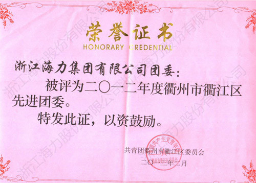2012年团委荣誉证书